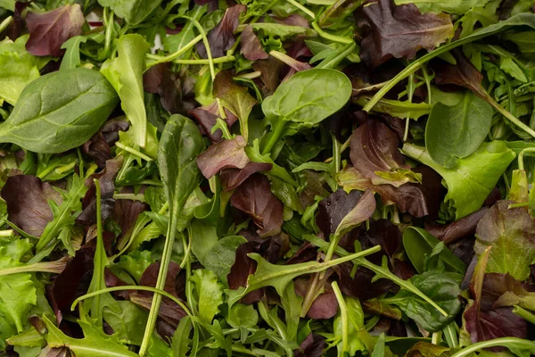 Mix Fresh Salad Background Top View — Stock Photo, Image