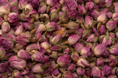 Beyaz arka planda izole edilmiş kuru çay gülleri.. 