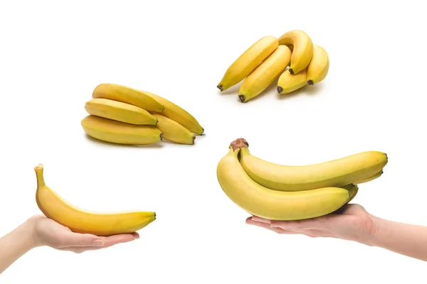 Куча Бананов Руке Женщины Изолированы Белом Фоне — стоковое фото
