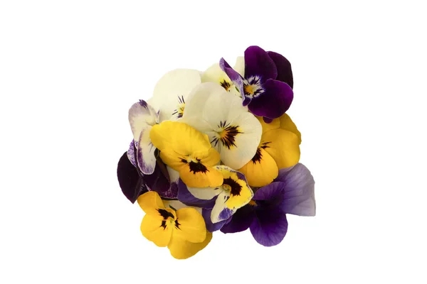 Flori Comestibile Violet Galben Izolate Fundal Alb — Fotografie, imagine de stoc