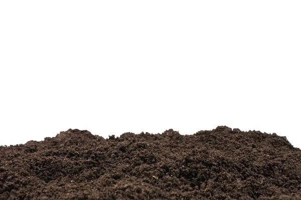 Black Land Plant Background Top View — Stock Photo, Image