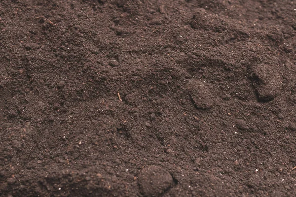 Fekete Föld Növényi Háttérnek Első Látásra Földminta — Stock Fotó