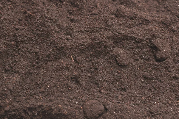 Zwart Land Voor Plantenachtergrond Bovenaanzicht Grondpatroon — Stockfoto