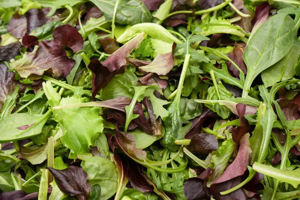 stock image Mix of fresh salad as a background. Top view. 