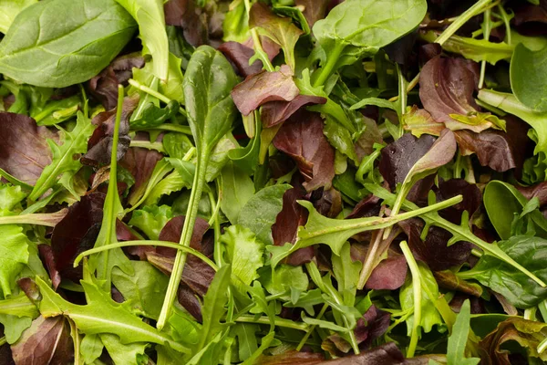 Meng Verse Salade Als Achtergrond Bovenaanzicht — Stockfoto