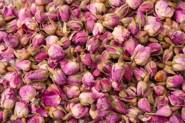 Stock image Dry tea roses isolated on a white background. 