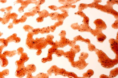 Kırmızı reçel beyaz arka planda izole edilmiş. Üst görünüm. 