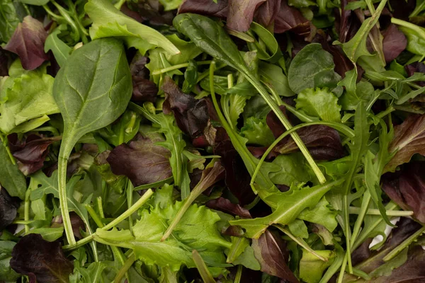 Mix Fresh Salad Background Top View — Stock Photo, Image