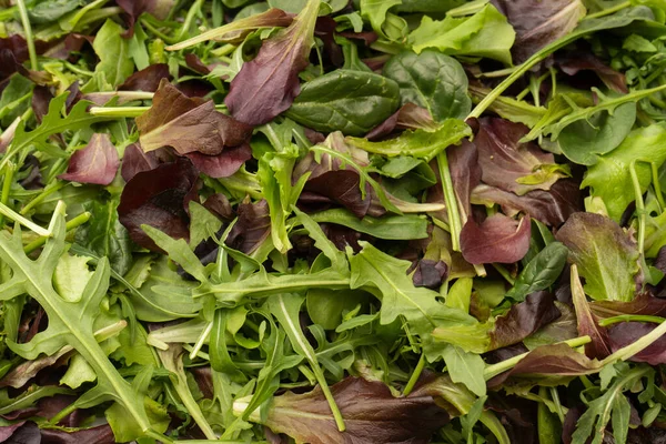 Stock image Mix of fresh salad as a background. Top view. 