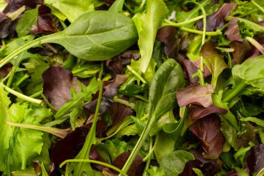 Arka plan olarak taze salata karışımı. Üst görünüm. 