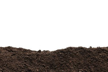 Beyaz arka planda izole edilmiş bitkiler için kara toprak. Çerçeve. Boşluğu kopyala. 