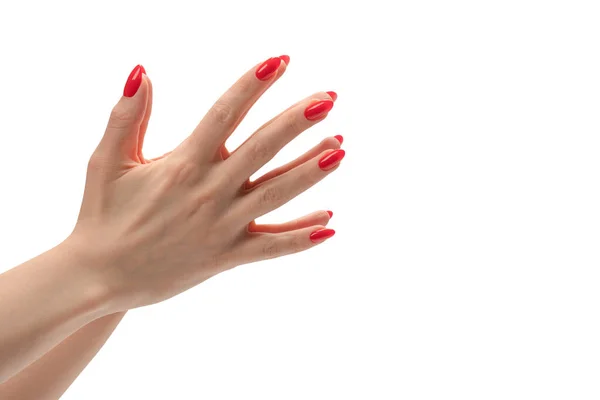 有红指甲的妇女的手显示出与白色背景隔离的框架符号 女人手牵着什么 — 图库照片
