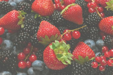 Blackberry, ahududu, yabanmersini, fonda kırmızı frenk üzümü. Üst görünüm. 
