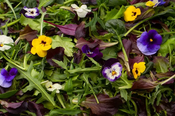 Fresh mix of salads with edible flowers.