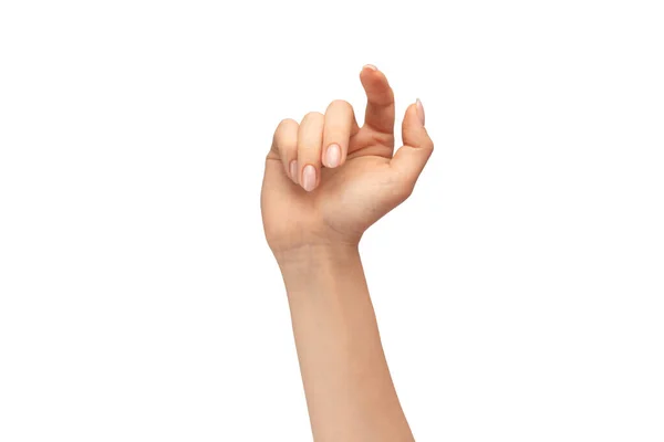 浅色皮肤的女性手部闭锁 指向或接触白色背景 — 图库照片