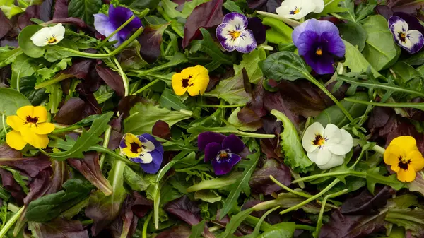 Färsk Mix Sallader Med Ätbara Blommor — Stockfoto