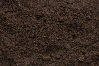 Bitkiler için kara toprak. Üst görünüm. 