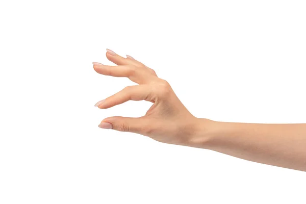 Woman Hand Isolated White Background — Stock Photo, Image