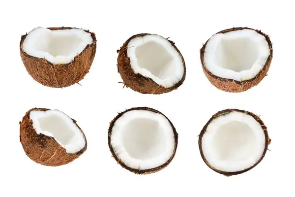 椰子在白色背景上被隔离 文字或设计的空间 — 图库照片