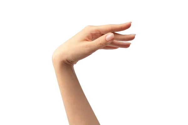 Рука Жінки Ізольована Білому Тлі — стокове фото