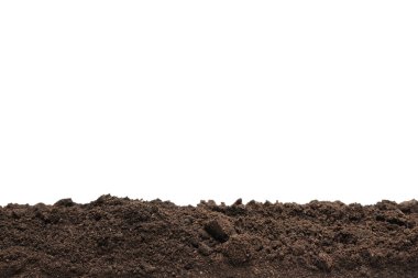 Beyaz arka planda izole edilmiş bitkiler için kara toprak. Çerçeve. Boşluğu kopyala. 