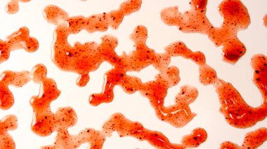 Kırmızı reçel beyaz arka planda izole edilmiş. Üst görünüm. 