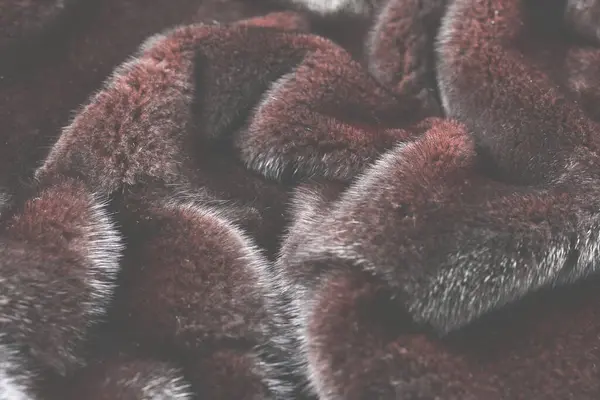 Mink Pele Marrom Como Uma Textura Vista Superior — Fotografia de Stock