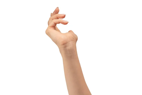 Γυναίκα Χέρι Απομονωθεί Λευκό Φόντο — Stok fotoğraf