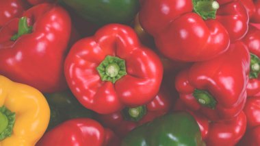 Taze kırmızı, yeşil, sarı dolmalık biber arka planı.