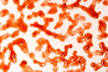 Kırmızı reçel beyaz arka planda izole edilmiş. Üst görünüm. 