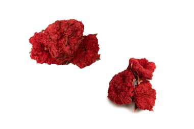 Kurumuş nar çiçeği beyaz arka planda izole edilmiş. Üst görünüm. 