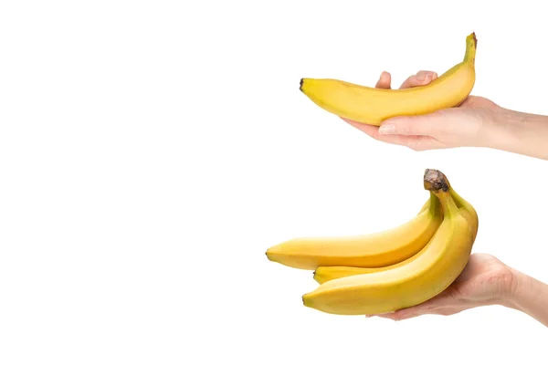 Ένα Μάτσο Μπανάνες Στο Χέρι Γυναίκα Απομονώνονται Λευκό Φόντο — Φωτογραφία Αρχείου