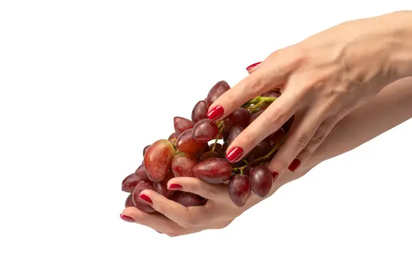 Gałązka Czerwonych Winogron Rękach Kobiety Czerwonym Lakierem Paznokci Odizolowana Białym — Zdjęcie stockowe