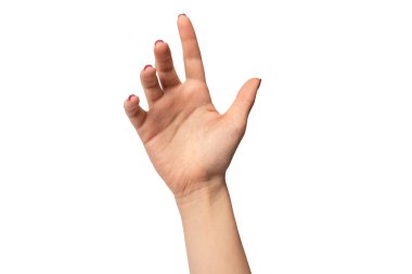 Beyaz arka planda kırmızı tırnaklı kadın elleri var. Kırmızı oje. Kare çivi formu. 