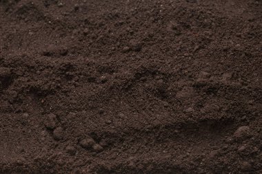 Bitkiler için kara toprak. Üst görünüm. 