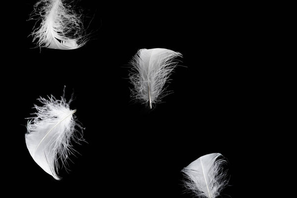 Белое плавающее перо изолировано на черном фоне. 
