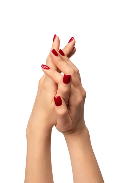 白い背景に隔離されたワインの赤い爪を持つ女性の手 赤いネイルポーランド語 スクエアネイルフォーム — ストック写真