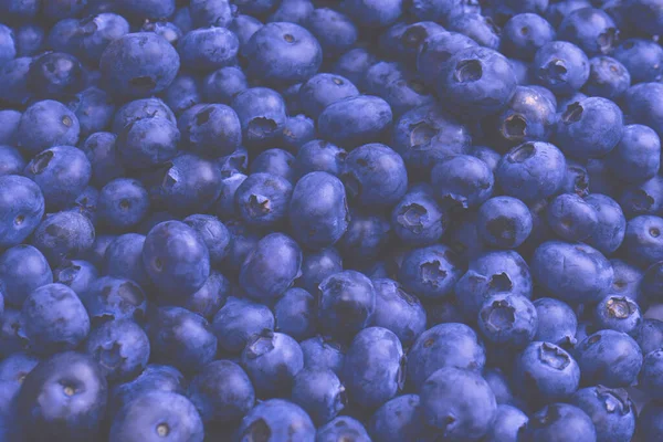 Fresh Blueberry Background Texture Blueberry Berries Close — Fotografia de Stock