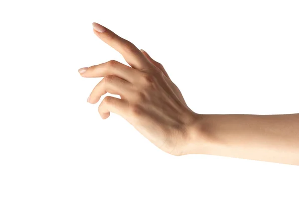 Γυναίκα Χέρι Απομονωθεί Λευκό Φόντο Stok Resim
