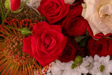 Arka plan olarak sonbahar buketi kırmızı ve beyaz güller, ortancalar, kasımpatılar. Üst görünüm. 