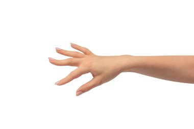 γυναίκα χέρι απομονωθεί σε λευκό φόντο. 