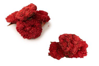 Kurumuş nar çiçeği beyaz arka planda izole edilmiş. Üst görünüm. 