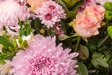 Arkaplanda pembe güllü güzel çiçekler, brassica çiçeği, kasımpatı ve frezya çiçeği var..