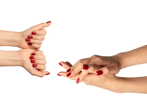 白い背景に隔離されたワインの赤い爪を持つ女性の手 赤いネイルポーランド語 スクエアネイルフォーム ロイヤリティフリーのストック写真