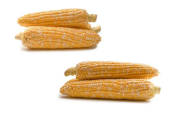 Yellow sweet corn isolated on white background. Copyspace.