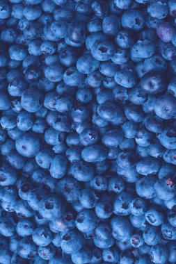 Fresh blueberry as a background. Texture blueberry berries close up.