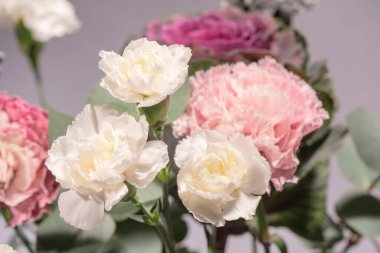 Güzel bir buket pembe, gri ve beyaz karanfil çiçekleri, arka plan olarak taze okaliptüsler ve mor brassica çiçeği. 