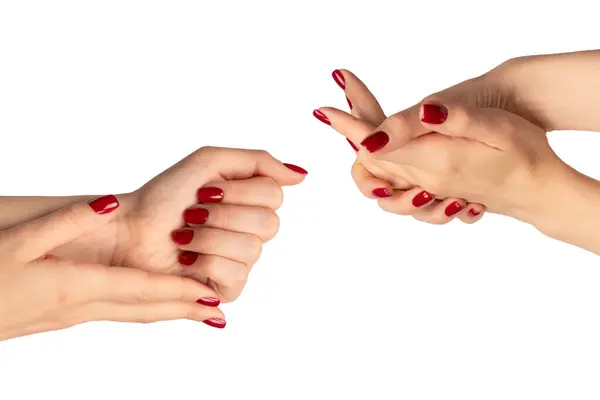 白い背景に隔離されたワインの赤い爪を持つ女性の手 赤いネイルポーランド語 スクエアネイルフォーム ストック写真