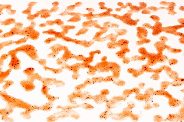 Kırmızı reçel beyaz arka planda izole edilmiş. Üst görünüm. 