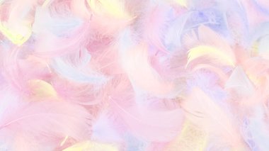 Renkli tüy arkaplanı, üst görünüm. 